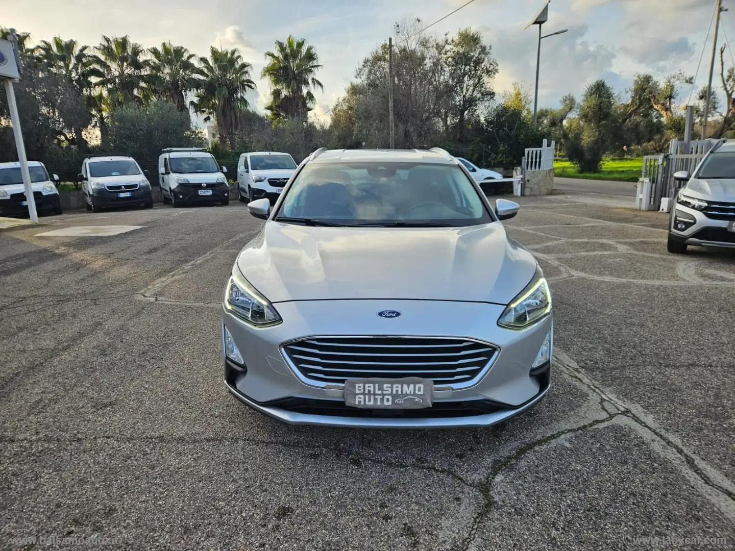 Ford Focus 1.5 E.Blue 120CV aut. SW Bs Co-P. Argent - 2