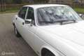 Jaguar Sovereign 4.2 Sovereign Weiß - thumbnail 24