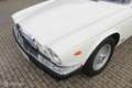 Jaguar Sovereign 4.2 Sovereign Weiß - thumbnail 25