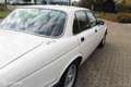 Jaguar Sovereign 4.2 Sovereign Weiß - thumbnail 30