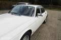 Jaguar Sovereign 4.2 Sovereign Weiß - thumbnail 26