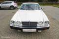 Jaguar Sovereign 4.2 Sovereign Weiß - thumbnail 9