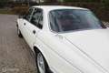 Jaguar Sovereign 4.2 Sovereign Weiß - thumbnail 28