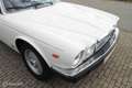 Jaguar Sovereign 4.2 Sovereign Weiß - thumbnail 23