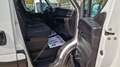 Iveco Daily 35S14 PASSO 4100 H3- 2.3 MJT 140CV -2021 Bianco - thumbnail 8