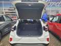 Ford Puma 1.0 EcoBoost Hybrid TITANIUM Weiß - thumbnail 6