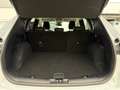 Ford Kuga Titanium X 2.5 PHEV, HUD, B&O, iACC, Tot-W, SR+WR Weiß - thumbnail 15