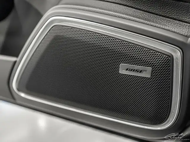 Porsche Panamera 4 E-Hybrid Platinum*LUFT*PANO*21''*HEADUP Ansicht 21