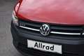 Volkswagen Caddy 4Motion 2.0 TDI BMT Kasten / Pickerl + Reifen + B Rot - thumbnail 11
