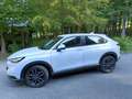 Honda HR-V HR-V 1,5 i-MMD Hybrid 2WD Elegance Aut. Elegance Weiß - thumbnail 2