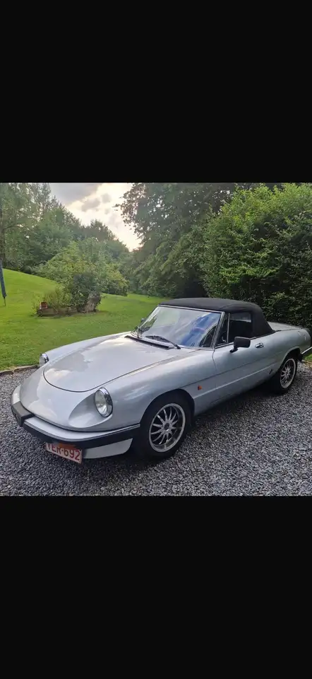 Alfa Romeo Spider, foto 2