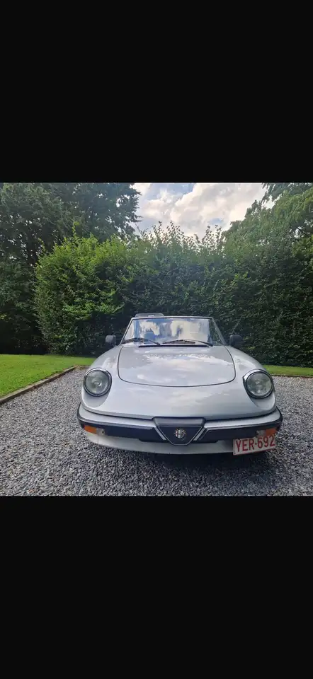 Alfa Romeo Spider, foto 3