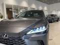 Lexus RX 350 RX 450h+ Plug-in Hybrid Executive - IVA Esposta Gris - thumbnail 10
