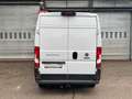 Fiat Ducato Hochr.-Kasten 30 130 L2H2 RS: 3450 mm Biały - thumbnail 9