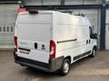 Fiat Ducato Hochr.-Kasten 30 130 L2H2 RS: 3450 mm Biały - thumbnail 5