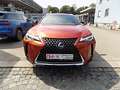 Lexus UX 250h 2.0 Klima Rückfahrkamera Sitzheizung Orange - thumbnail 2