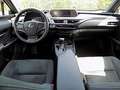 Lexus UX 250h 2.0 Klima Rückfahrkamera Sitzheizung Portocaliu - thumbnail 14