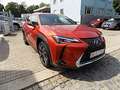 Lexus UX 250h 2.0 Klima Rückfahrkamera Sitzheizung Orange - thumbnail 3