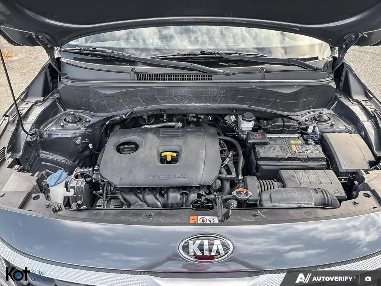 Kia Seltos fotografie Kia Seltos