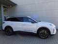 Peugeot 5008 Hybrid 136 e-DSC6 Allure Panorama Navi Weiß - thumbnail 5