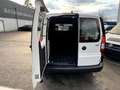 Volkswagen Caddy 2.0 TDI Maxi Cargo 4Motion (EURO 6d) Weiß - thumbnail 7