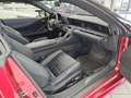 Lexus Sonstige 500h Rot - thumbnail 14