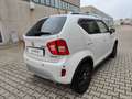 Suzuki Ignis Ignis 1.2 Hybrid Top 2wd Bianco - thumbnail 4