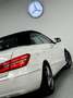 Mercedes-Benz E 220 CDI - CABRIOLET - GARANTIE 12 MOIS - AUTOMATIQUE - Alb - thumbnail 16
