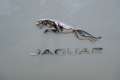 Jaguar I-Pace S/EV400/AWD Blanc - thumbnail 19