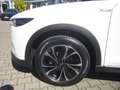 Mazda CX-5 SKYACTIV 165 Advantage NAVI/HUD/360° Weiß - thumbnail 17