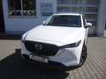 Mazda CX-5 SKYACTIV 165 Advantage NAVI/HUD/360° Weiß - thumbnail 1