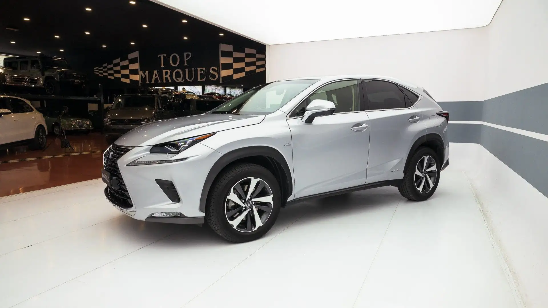 Lexus NX 300 Hybrid 4WD Luxury Šedá - 1