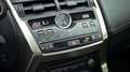 Lexus NX 300 Hybrid 4WD Luxury Šedá - thumbnail 13