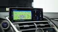 Lexus NX 300 Hybrid 4WD Luxury Šedá - thumbnail 12