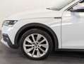 Skoda Octavia Combi 2.0TDI Scout 147kW DSG 4x4 Blanco - thumbnail 4