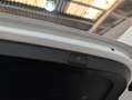 Skoda Octavia Combi 2.0TDI Scout 147kW DSG 4x4 Blanco - thumbnail 18