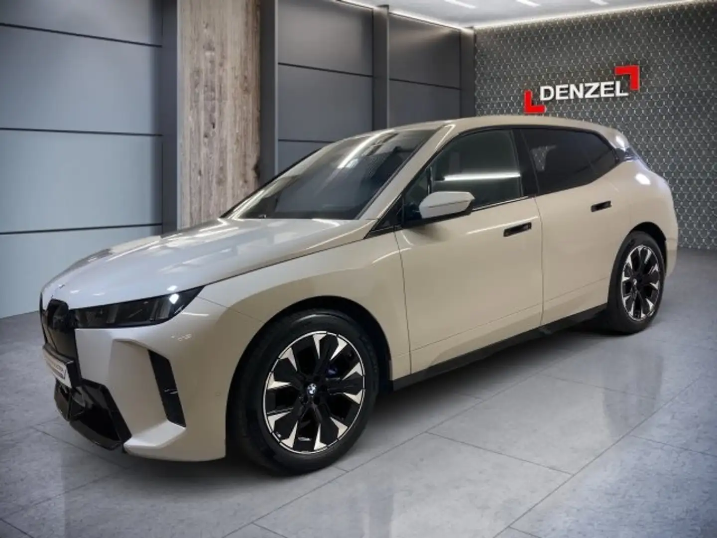 BMW iX xDrive45 Grau - 1
