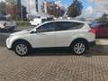 Toyota RAV 4 Bianco - thumbnail 3