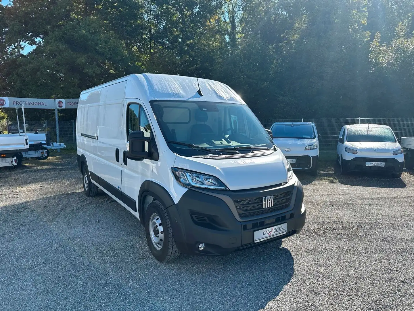Fiat Ducato Maxi Kasten L4H2 WINTER FRISCHDIENST Weiß - 1