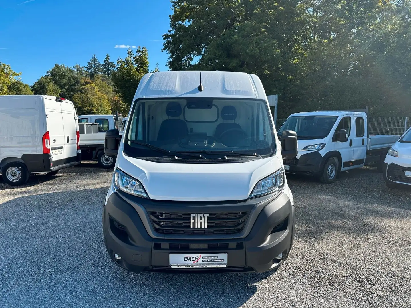 Fiat Ducato Maxi Kasten L4H2 WINTER FRISCHDIENST Weiß - 2