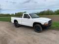 Dodge Dakota Blanco - thumbnail 9