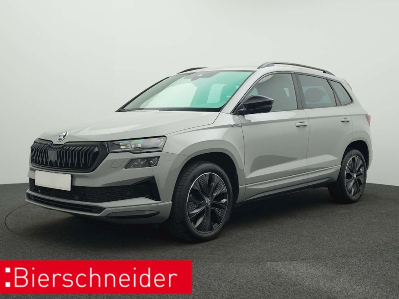 Skoda Karoq 2024