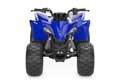 Yamaha YFZ 50 2026 Das einzig wahre Kinderquad Blau - thumbnail 7