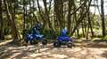 Yamaha YFZ 50 2026 Das einzig wahre Kinderquad Blau - thumbnail 13
