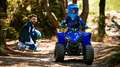 Yamaha YFZ 50 2026 Das einzig wahre Kinderquad Blau - thumbnail 15