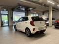 Kia Picanto GT-Line Klima Navi Leder Rückfahrkamera Weiß - thumbnail 3