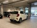 Kia Picanto GT-Line Klima Navi Leder Rückfahrkamera Weiß - thumbnail 4