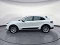 Porsche Macan S PDK *Kamera*Pano*Memory*Park-Assistent* Weiß - thumbnail 2