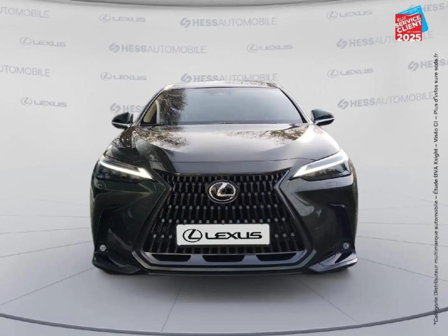 Lexus NX 450h+ 450h+ 292ch Luxe Plus 4WD MY26 Grün - 2