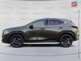 Lexus NX 450h+ 450h+ 292ch Luxe Plus 4WD MY26 Grün - thumbnail 9